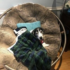 Meet your Posher, Tracey